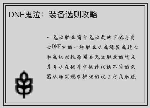 DNF鬼泣：装备选则攻略